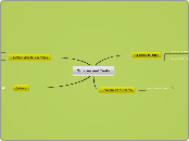 Quizzes and Tests - Mind Map