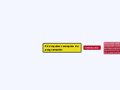 Principales conceptos de
programación - Mapa Mental