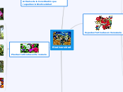 Biodiversidad - Mapa Mental