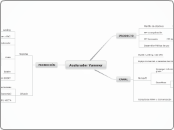 Acelerador Yammer - Mapa Mental