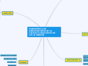 DIAGNOSTICO DE ASEGURAMIENTO DE LA CALI...- Mapa Mental