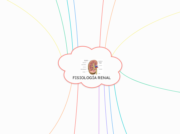FISIOLOGÍA RENAL