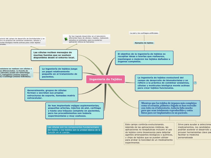 Ingeniería de Tejidos - Mapa Mental