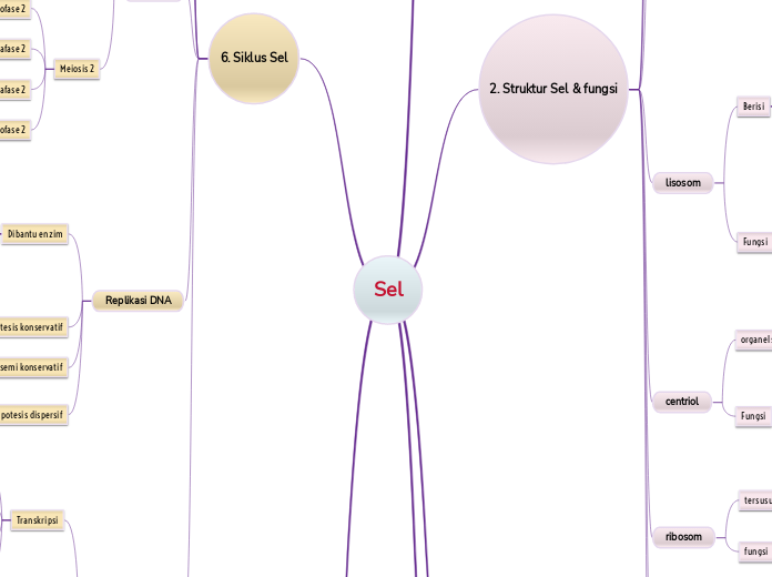 Sel - Mind Map