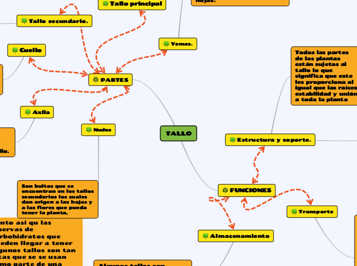 TALLO - Mapa Mental