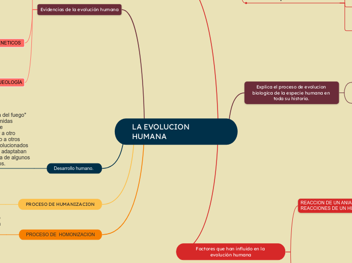 LA EVOLUCION HUMANA - Mapa Mental