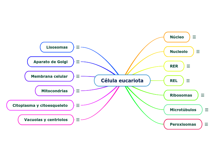 Célula eucariota - Mapa Mental
