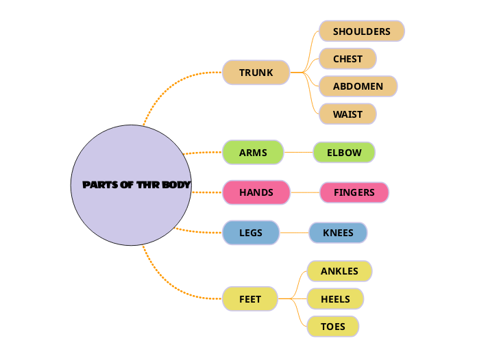 PARTS OF THR BODY - Mind Map