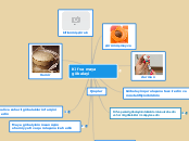 Kif və maya göbələyi - Mind Map