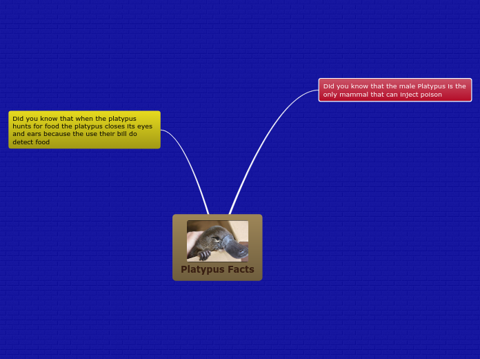 Platypus Facts - Mind Map