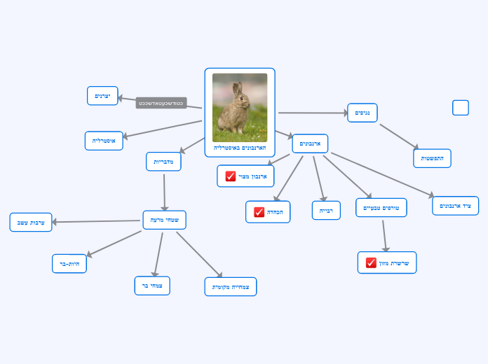 הארנבונים באוסטרליה - Mind Map