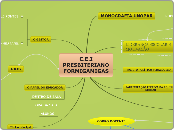 C.E.I PRESBITERIANO                FORM...- Mapa Mental
