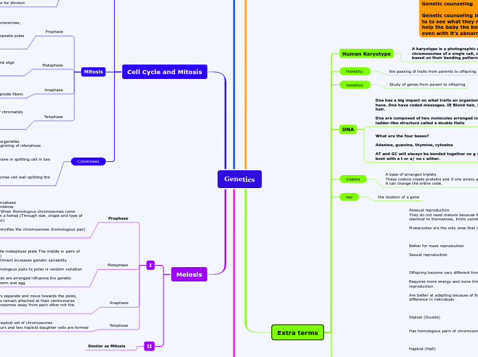 Genetics - Mind Map