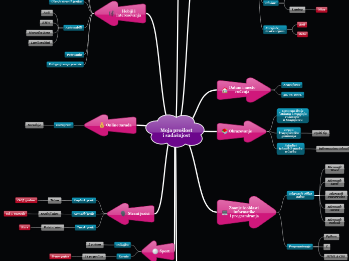 Moja prošlost
i sadašnjost - Mind Map