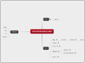 SPECTRUM BARCELONA - Mapa Mental