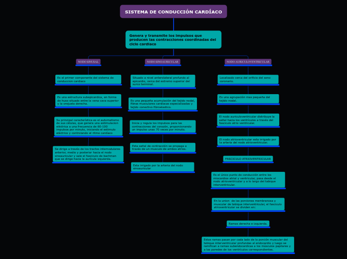 SISTEMA DE CONDUCCIÓN CARDÍACO - Mapa Mental