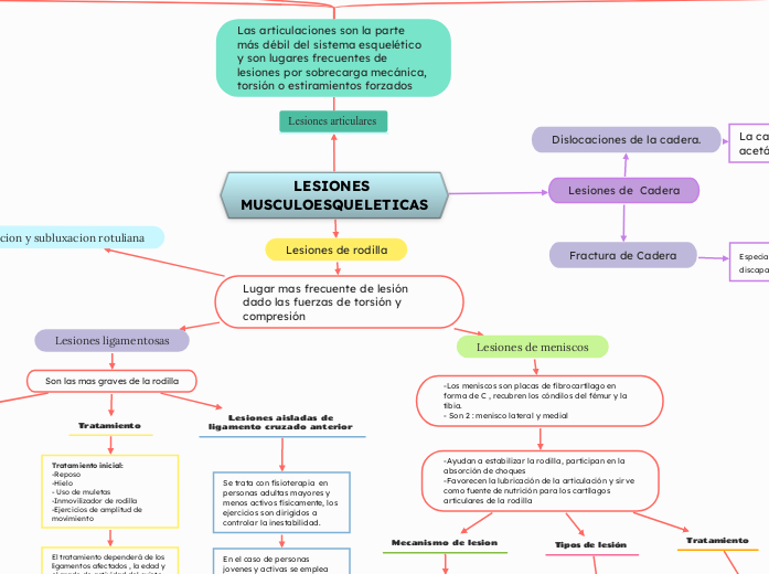 LESIONES MUSCULOESQUELETICAS