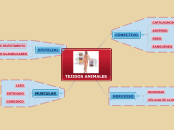TEJIDOS ANIMALES - Mapa Mental