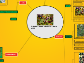 FLAVESCENZA DORATA della VITE - Mappa Mentale