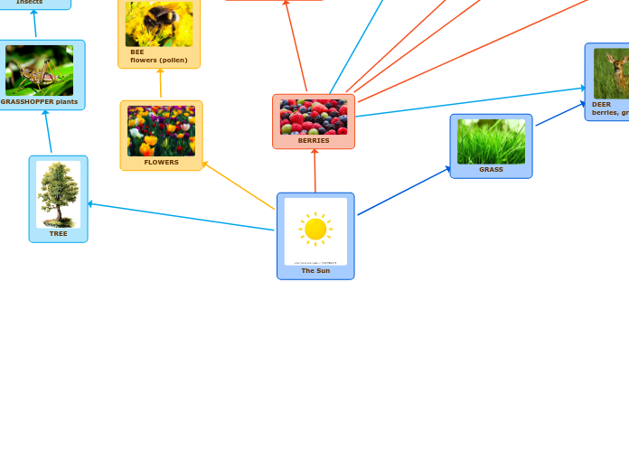 The Sun - Mind Map