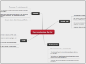 Macromolacules, By:Cat - Mind Map