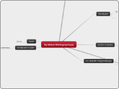 Synthèse Bibliographique - Carte Mentale