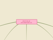ESCUELAS SOCIOLÓGICAS - Mapa Mental