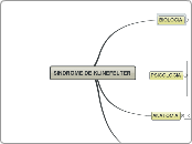 SINDROME DE KLINEFELTER - Mapa Mental