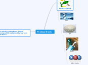 Photosynthesis - Mind Map