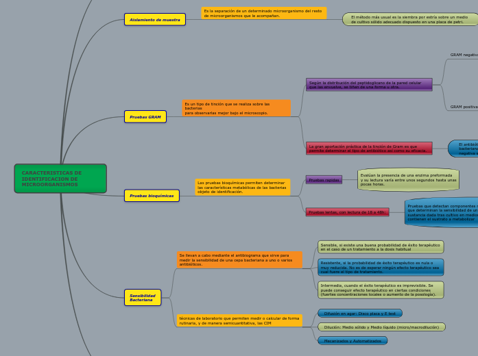 CARACTERISTICAS DE IDENTIFICACION - Mind Map CARACTERISTICAS%20DE%20IDENTIFICACION%20DE%20MICRO %20Mind%20Map
