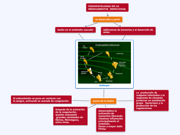 FISIOPATOLOGIA DE LA ENDOCARDITIS INFE...- Mapa Mental