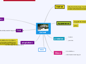 Afirican Rhino - Mind Map