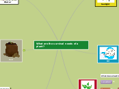 What are the survival needs of a plant? - Mind Map