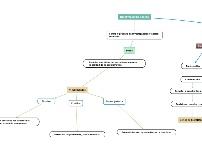 INVESTIGACION-ACCION