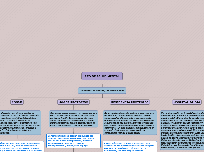 RED DE SALUD MENTAL - Mapa Mental