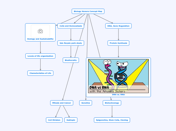 Biology Honors Concept Map Mind Map