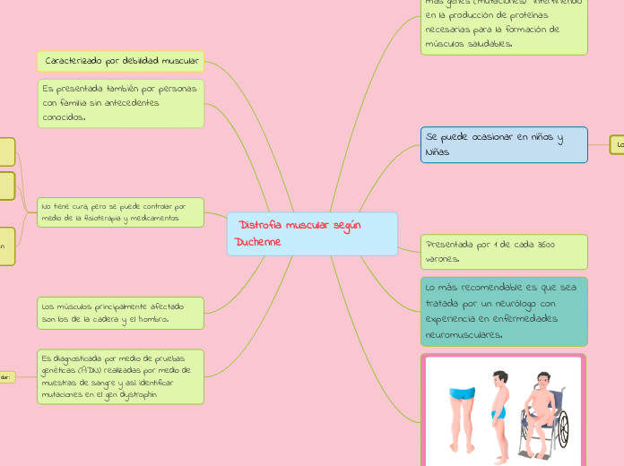  Distrofia muscular según Duchenne  - Mapa Mental