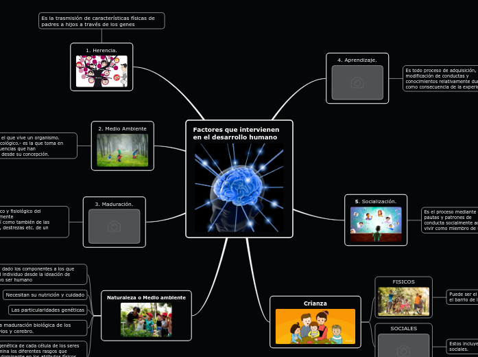 Factores que intervienen en el desarrollo ...- Mind Map