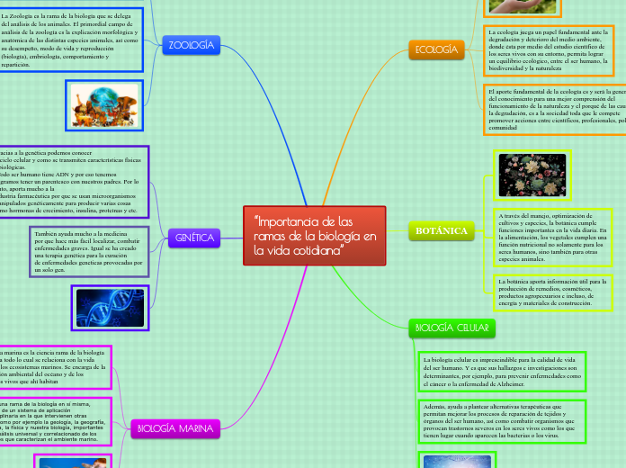 “Importancia de las
ramas de la biologí...- Mapa Mental