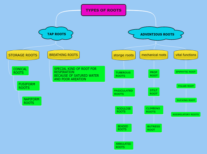 TYPES OF ROOTS - Mind Map