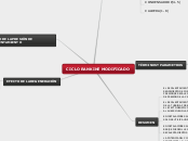 CICLO RANKINE MODIFICADO - Mapa Mental