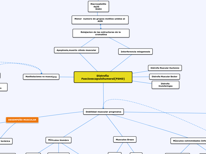 Distrofia Fascioescapulohumeral(FSHD) - Mapa Mental
