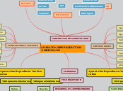 APARATO REPRODUCTOR HUMANO - Mapa Mental