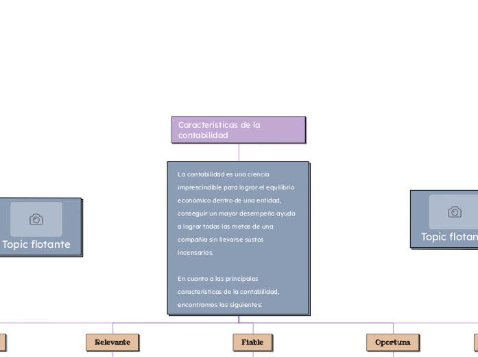 Características de la contabilidad - Mapa Mental