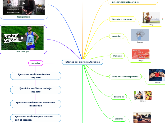 Efectos del ejercicio Aeróbico - Mapa Mental