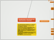 Clasificación y descripción de instrume...- Mapa Mental