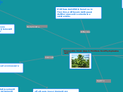 Scopazzi del melo (Apple Proliferatio...- Mappa Mentale