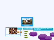 Corrosion - Mind Map
