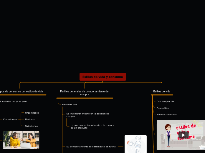 Estilos de vida y consumo - Mapa Mental