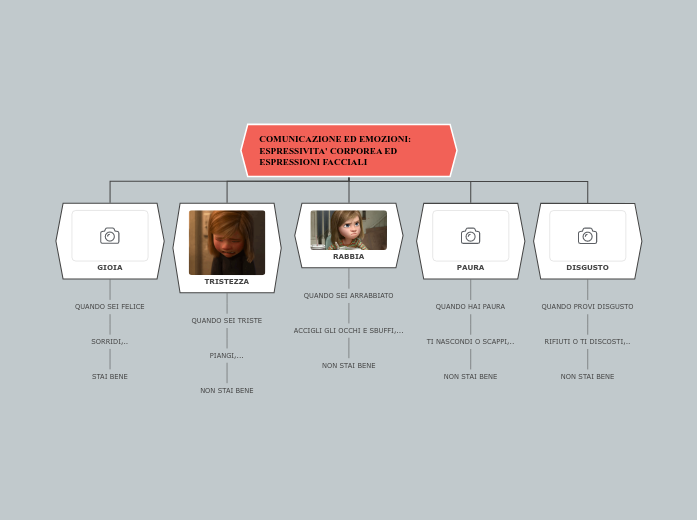 MAPPA EMOZIONI E COMUNICAZIONE personalizzata